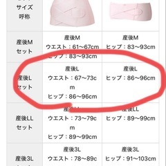 犬印　産後すぐリフォームセット（黒）の画像