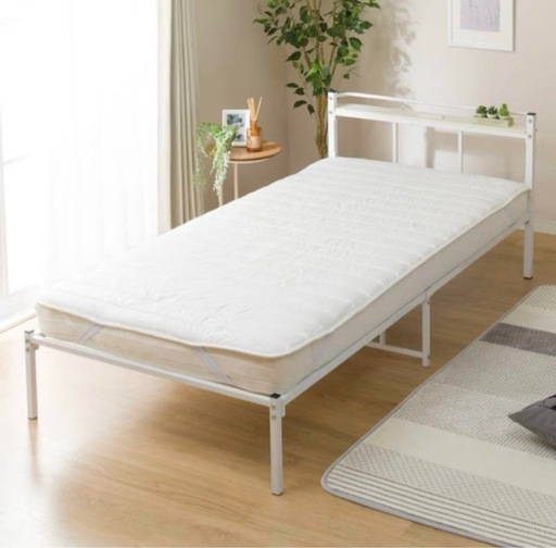 工場 F・v・オリヴィエ、オレヴァーノの主席司祭の葡萄園、19世紀外国