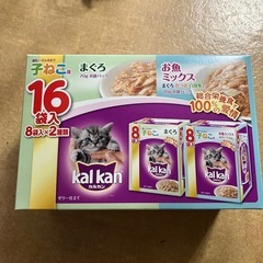 キャットフード　子ねこ用