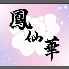 よさこい踊り子メンバー募集