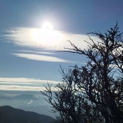 募集、山友さんᐠ( ᐢ ᵕ ᐢ )ᐟ