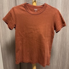 ユニクロ Tシャツ ブラウン
