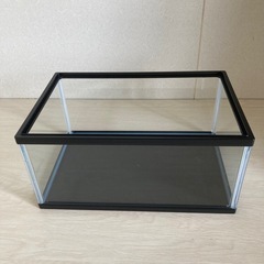 亀　金魚　水槽