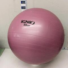 0527-126 バランスボール