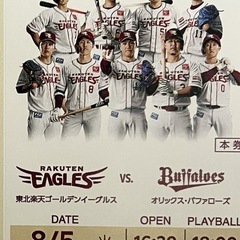 楽天VS西武　VIP席　8月5日（火）