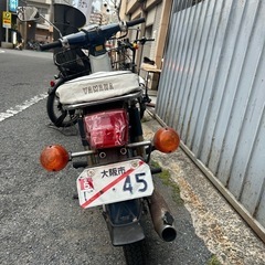 セルつきカブ70ccの画像