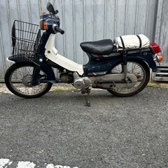 セルつきカブ70ccの画像