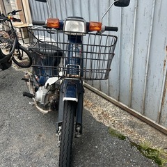 セルつきカブ70ccの画像