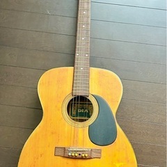 アコースティックギター ヴィンテージモデルDIA