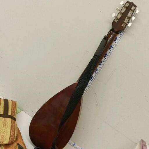 超熱 Reghin レジン トラベルギター（定価￥29000ギブソン ギター