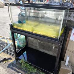 現状　水槽　90CM