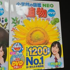 子供図鑑3冊セットの画像