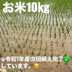 大分県産米　10キロ㎏　お米　おこめ
