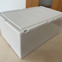 フィッツケース　ディープLの画像