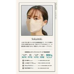 フラップ型不織布マスク　4箱(1箱30枚入り)の画像