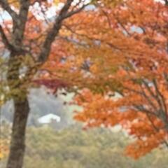 まったり走れるバイク友達