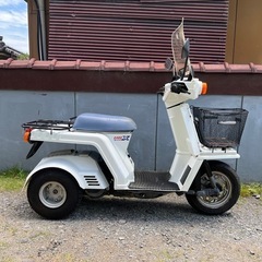 ジャイロx低走行