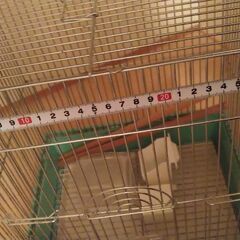 鳥かご　の画像