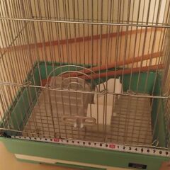 鳥かご　の画像