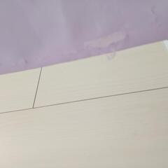ベットガード　そろそろ処分の画像