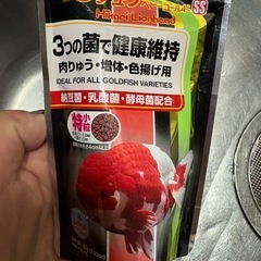 らんちゅうのエサ 亀のエサ 熱帯魚のエサ