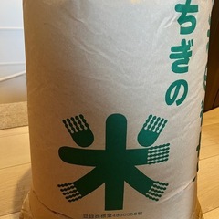 お米30㎏こしひかり
