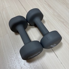 ダンベル5kg 2個