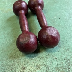 鉄アレイ ダンベル 2kg 2個セットの画像