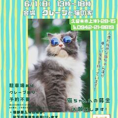 保護猫譲渡会6/1(日)
