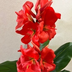 フェイクグリーン　造花　造木　植物　観葉植物　インテリアの画像