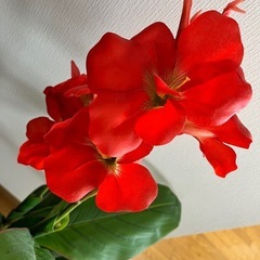 フェイクグリーン　造花　造木　植物　観葉植物　インテリアの画像