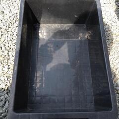 めだか　飼育容器各種