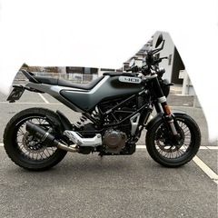 写真追加値下げしました。スヴァルトピレン401