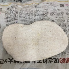 白珊瑚 石 水槽用に 2点まとめの画像