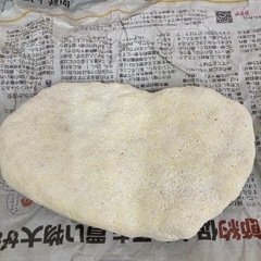 白珊瑚 石 水槽用に 2点まとめの画像