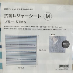 未使用 抗菌レジャーシートの画像