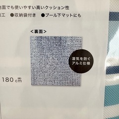 未使用 抗菌レジャーシートの画像