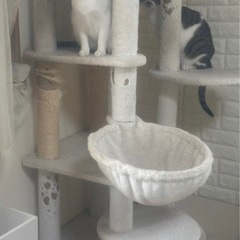 キャットタワーの画像