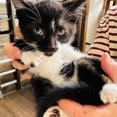 2ヶ月になったばかりの子