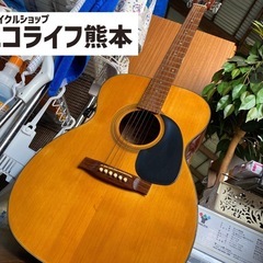 SEGOVIA F100 アコースティックギター