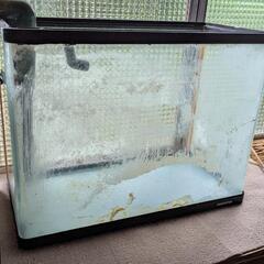 ニッソー60cm水槽 角アールの画像