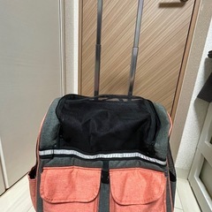 【差し上げます】ペットキャリー