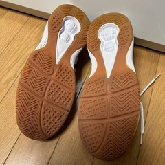 ムーンスター上履き26.5の画像