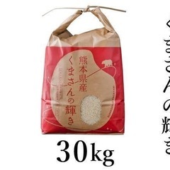 令和7年度 10月収穫分 熊本県産くまさんの輝き