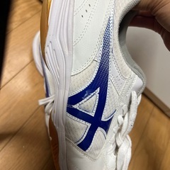 ムーンスター上履き26.5の画像