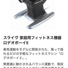 値下〜ロディオボーイの画像