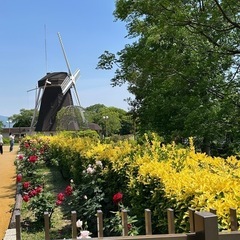 読書にハマっている方と分かち合いたい✨