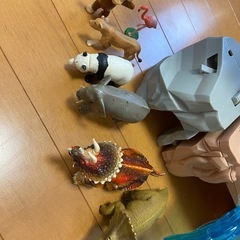 アニアセットの画像