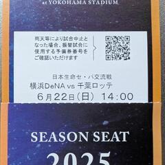 交流戦
6月22日(土) 横浜DeNAベイスターズVS千葉ロッテ...