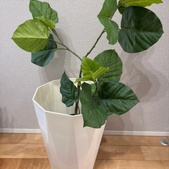 観葉植物　造花　クォーツの白い鉢